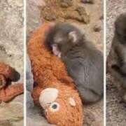 ヒメ日記 2026/03/02 10:31 投稿 乙葉めぐみ MADAM