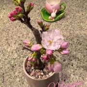 ヒメ日記 2026/03/21 22:46 投稿 乙葉めぐみ MADAM