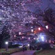 ヒメ日記 2026/03/27 19:17 投稿 乙葉めぐみ MADAM