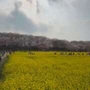 ヒメ日記 2026/03/30 15:01 投稿 乙葉めぐみ MADAM