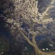 ヒメ日記 2026/04/07 19:16 投稿 乙葉めぐみ MADAM