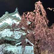 ヒメ日記 2026/04/22 00:01 投稿 乙葉めぐみ MADAM