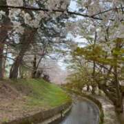 ヒメ日記 2026/04/22 12:31 投稿 乙葉めぐみ MADAM