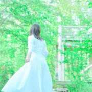 ヒメ日記 2026/06/26 00:02 投稿 乙葉めぐみ MADAM
