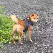 ヒメ日記 2026/09/10 11:46 投稿 乙葉めぐみ MADAM