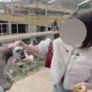 ヒメ日記 2026/03/10 11:46 投稿 わかな CUTE