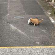 ヒメ日記 2026/03/16 12:31 投稿 わかな CUTE