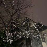 ヒメ日記 2026/03/26 21:31 投稿 わかな CUTE