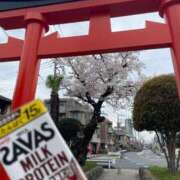 ヒメ日記 2026/04/04 11:01 投稿 わかな CUTE