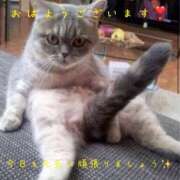 ヒメ日記 2025/12/24 10:31 投稿 三浦あずみ MADAM