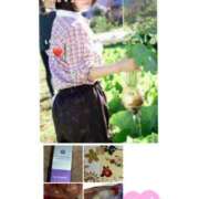 ヒメ日記 2026/01/26 09:01 投稿 三浦あずみ MADAM