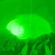 ヒメ日記 2026/05/06 00:16 投稿 三浦あずみ MADAM