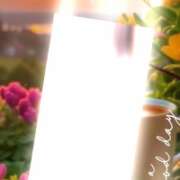 ヒメ日記 2026/05/22 06:31 投稿 三浦あずみ MADAM