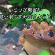 ヒメ日記 2026/06/03 11:31 投稿 三浦あずみ MADAM