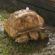 ヒメ日記 2026/06/12 11:01 投稿 三浦あずみ MADAM