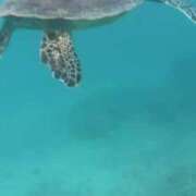 ヒメ日記 2026/07/16 22:46 投稿 三浦あずみ MADAM