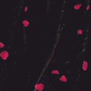 ヒメ日記 2026/08/30 01:31 投稿 三浦あずみ MADAM