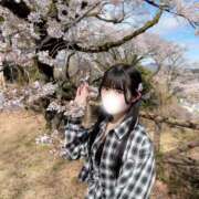 ヒメ日記 2026/04/03 06:16 投稿 もな CUTE