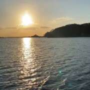 ヒメ日記 2025/12/25 17:16 投稿 若葉ひな 華椿