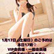 ヒメ日記 2026/01/12 12:16 投稿 若葉ひな 華椿