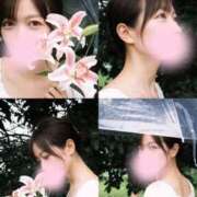 ルナ 出勤です? アリスマリオン