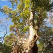 ヒメ日記 2026/01/23 21:16 投稿 広末ひかる 華椿