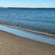 ヒメ日記 2026/01/24 14:31 投稿 広末ひかる 華椿