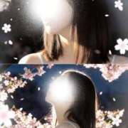 ヒメ日記 2026/03/26 22:16 投稿 広末ひかる 華椿