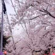 ヒメ日記 2026/03/30 12:16 投稿 広末ひかる 華椿