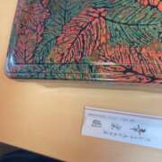 ヒメ日記 2026/02/21 19:01 投稿 西城かえで MADAM