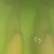 ヒメ日記 2026/02/24 22:16 投稿 西城かえで MADAM