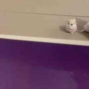 ヒメ日記 2026/03/31 22:01 投稿 西城かえで MADAM