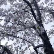 ヒメ日記 2026/04/02 13:01 投稿 西城かえで MADAM