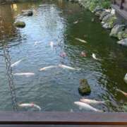 ヒメ日記 2026/08/20 22:01 投稿 西城かえで MADAM