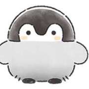 ヒメ日記 2026/01/07 07:16 投稿 片瀬ここみ 華椿