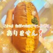 ヒメ日記 2026/01/11 10:01 投稿 片瀬ここみ 華椿