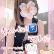 ヒメ日記 2026/01/24 11:01 投稿 片瀬ここみ 華椿