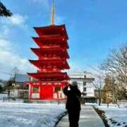 ヒメ日記 2026/02/12 00:16 投稿 片瀬ここみ 華椿