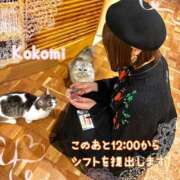 ヒメ日記 2026/02/15 10:46 投稿 片瀬ここみ 華椿