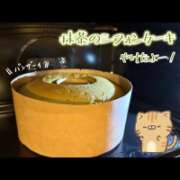 ヒメ日記 2026/02/24 06:16 投稿 片瀬ここみ 華椿