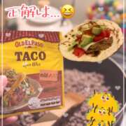 ヒメ日記 2026/02/26 11:01 投稿 片瀬ここみ 華椿