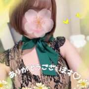 ヒメ日記 2026/02/27 21:16 投稿 片瀬ここみ 華椿