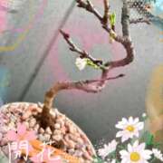 ヒメ日記 2026/02/28 18:16 投稿 片瀬ここみ 華椿