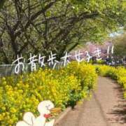 ヒメ日記 2026/03/05 14:31 投稿 片瀬ここみ 華椿