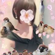 ヒメ日記 2026/03/20 13:01 投稿 片瀬ここみ 華椿