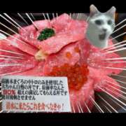 ヒメ日記 2026/03/27 17:46 投稿 片瀬ここみ 華椿