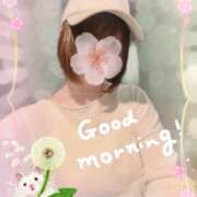 ヒメ日記 2026/04/02 08:31 投稿 片瀬ここみ 華椿