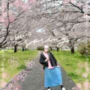 ヒメ日記 2026/04/03 05:46 投稿 片瀬ここみ 華椿