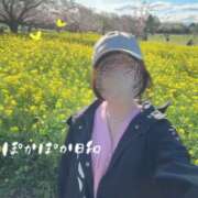 ヒメ日記 2026/04/03 20:46 投稿 片瀬ここみ 華椿