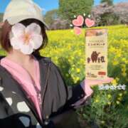 ヒメ日記 2026/04/04 10:31 投稿 片瀬ここみ 華椿